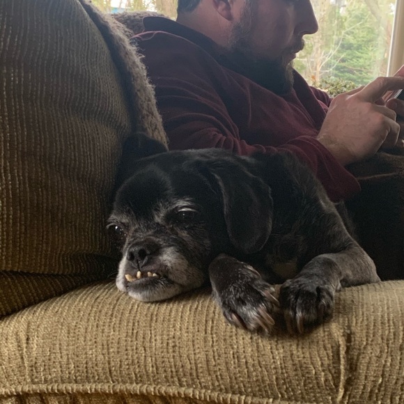 Meet your Posher, Jackie - Picture 9 of 12